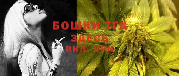 ПСИЛОЦИБИНОВЫЕ ГРИБЫ Алексеевка