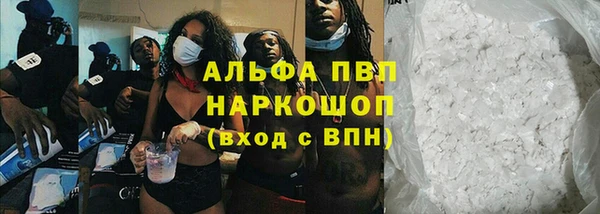 стаф Аркадак