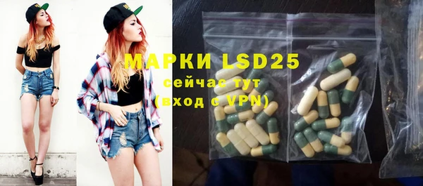 стаф Аркадак