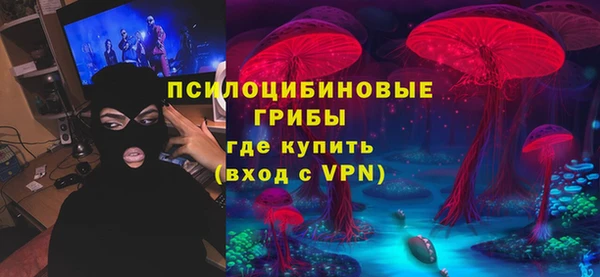 ПСИЛОЦИБИНОВЫЕ ГРИБЫ Алексеевка