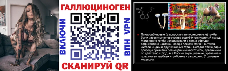 дарк нет наркотические препараты  даркнет сайт  Междуреченск  Псилоцибиновые грибы Magic Shrooms 